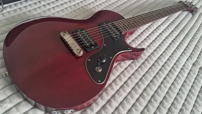 Guitarra PRS SE One