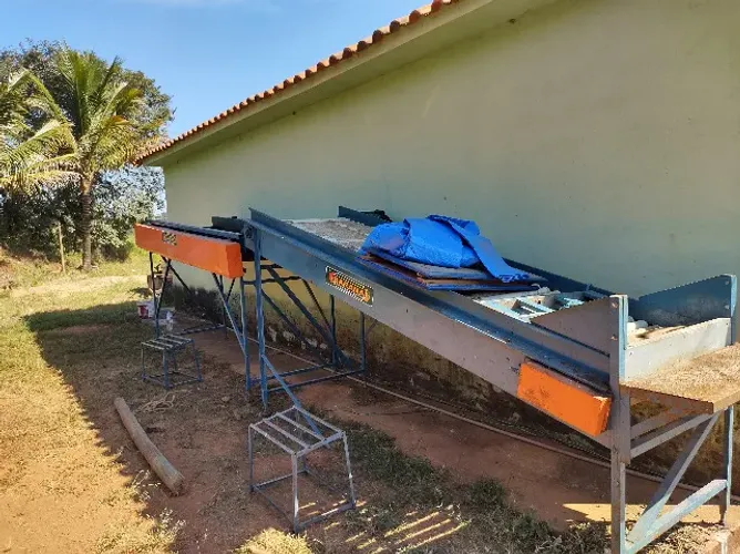 Vende-se máquina classificar, selecionar e polir frutas
