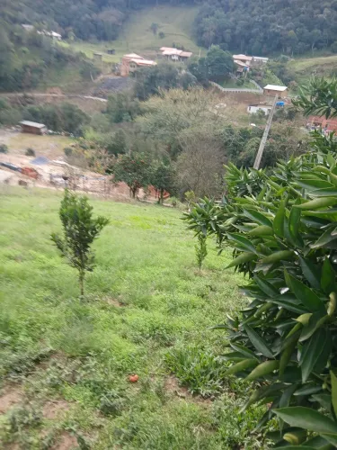Vendo área Alfredo Wagner 500m²