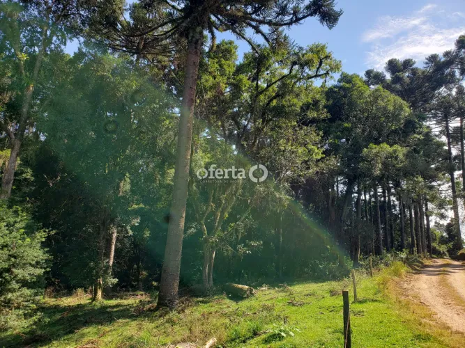 Chácara em Araucária