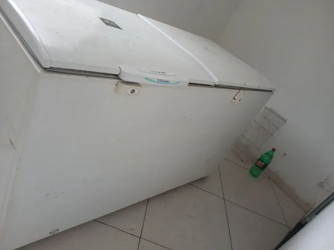 Vendo FREEZER ELETROLUX 500L.