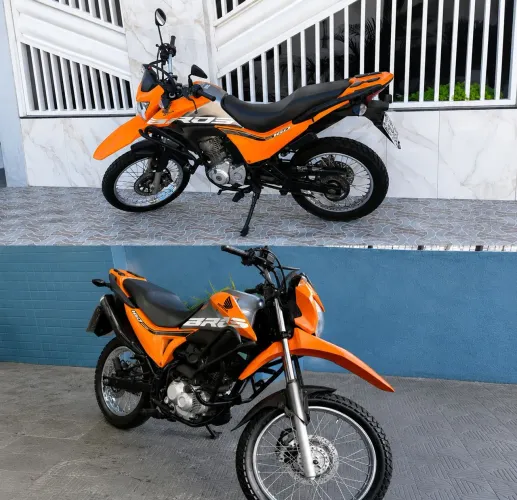 Vendo Bross 2019