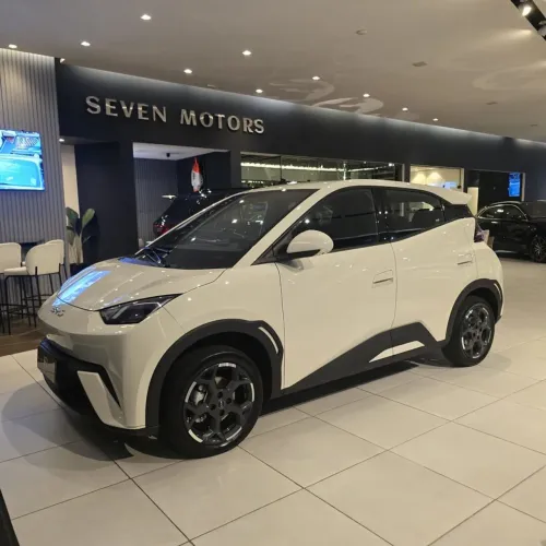 BYD Dolphin Mini (Elétrico) 2026