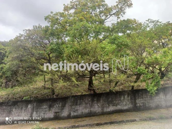 Venda Lote-Área-Terreno Mangabeiras Belo Horizonte