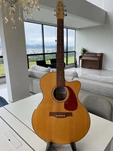 Violão Seagull Performer CW Flame Maple HG QIT | Canadense | Godin | Estado de Vitrine