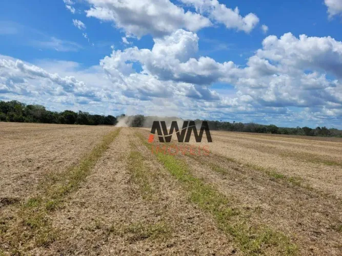 Fazenda à venda, m² por R$ 46.000.000,00 - Zona Rural - Santa Maria do Tocantins/TO