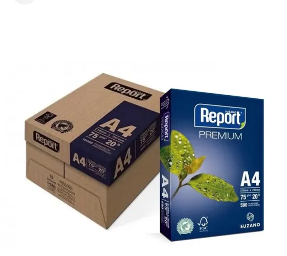 Papel Repot $250