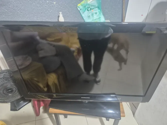 Televisão 