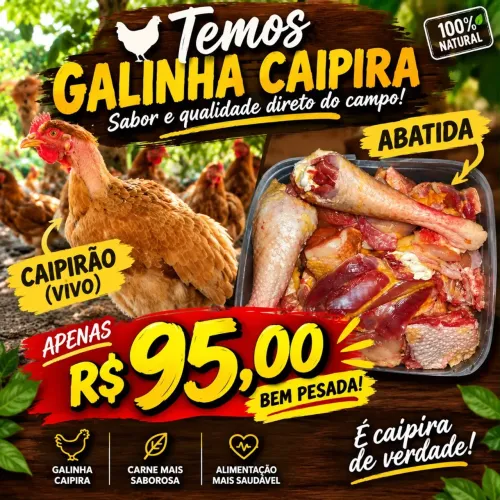 Galinha caipira viva ou tratada