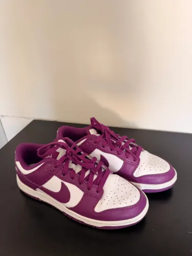 Nike Dunk Low Retro ?White Viotech?