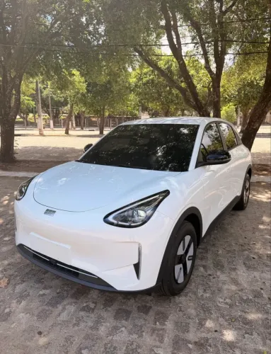 Locação ou aluguel de veículos elétricos 