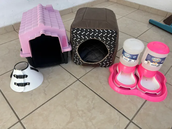 Casinha Pet