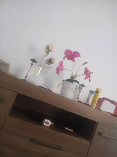 Preciso de uma pessoa para cuidar de uma casa 