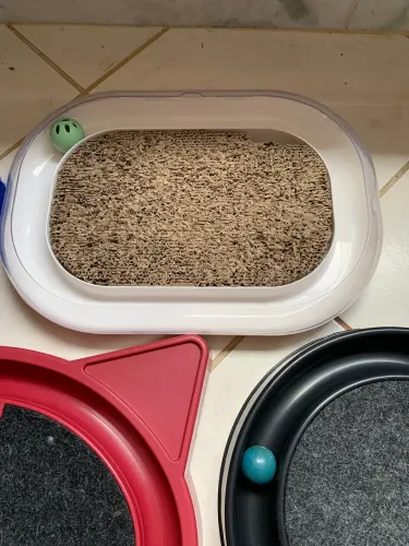 Caixa transporte felino + brinquedos 