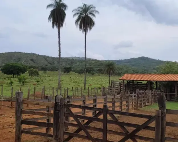 Fazenda 1.512 há, casa sede e de caseiro, nascentes, com acesso ao rio cipó.