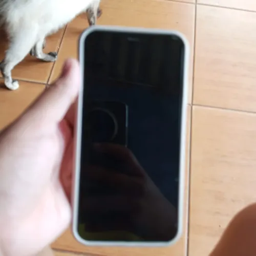 iPhone 12 troco em iPhone 13