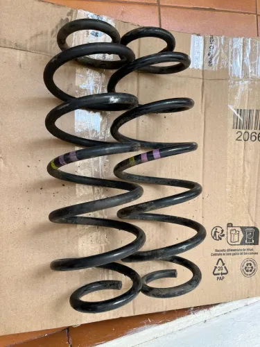 Mola traseira Fiat Punto