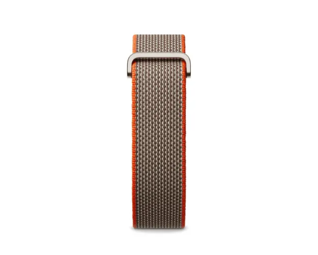Fitbit Air Google