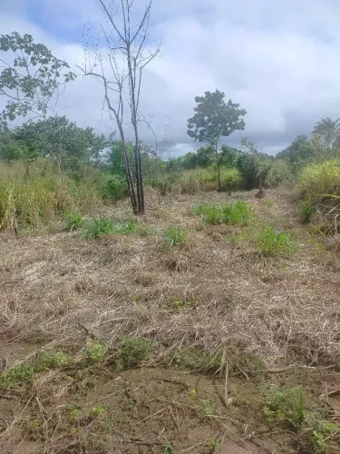 Vende-se ou troca um terreno já quitado, no mexicano