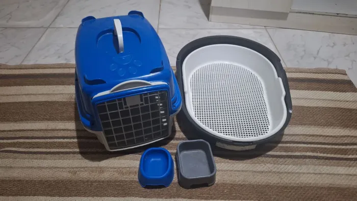 Caixa de areia e transporte para gatos