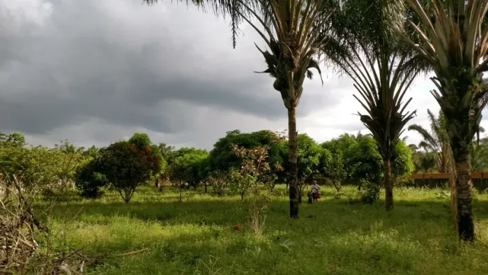 Terreno 36x96 em Terra Alta-PA