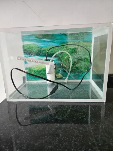 Aquário com bomba de oxigênio