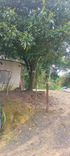 Pequena chácara em Juquitiba