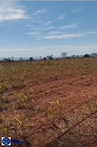 Fazenda em Sanclerlândia - Goiás - 63 Alqueires - safra e safrinha