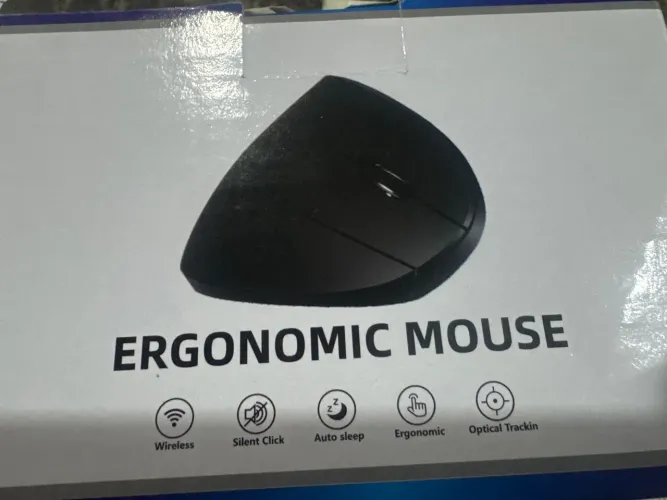Mouse