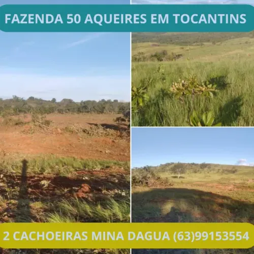 Fazenda no Tocantins, Casa, Gado, Boi, Vaca, Criação,  Troca Venda, Arrendo, Arrendamento
