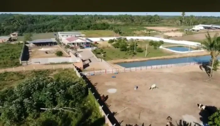 Explendida Chácara Terreno Plano 11.000m² c/ Casa com 5 quartos / 2 Viveiro de Tambaqui 