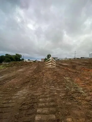 Terreno à venda, 12000 m² por R$ 4.800.000,00 - Chácara Águas da Pedra - Itaquaquecetuba/S