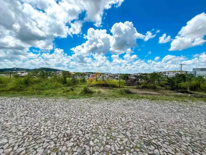 Lote localizado no bairro São Roque