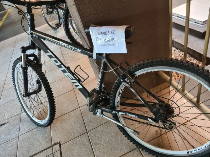 Bicicleta Totem 21 Marchas - aro 29 golden Wheel