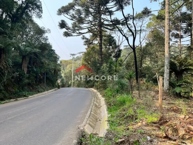 Chácara em Estrada Geral da Carapina - Vale do Carapina - São Francisco de Paula/RS
