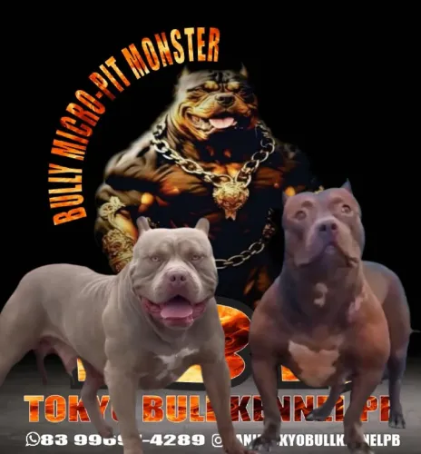 Pit Monster para reserva 