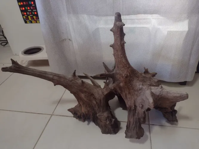 Tronco de aroeira 