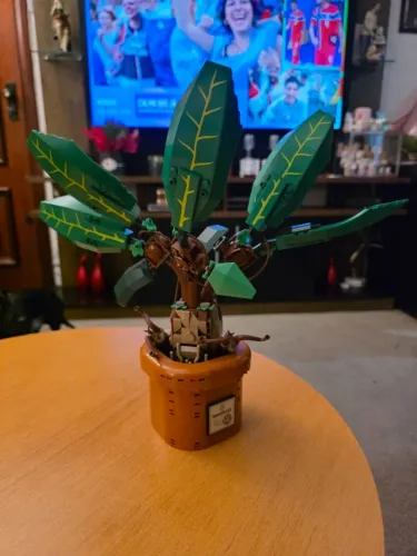 LEGO Harry Potter Mandrágora 76433