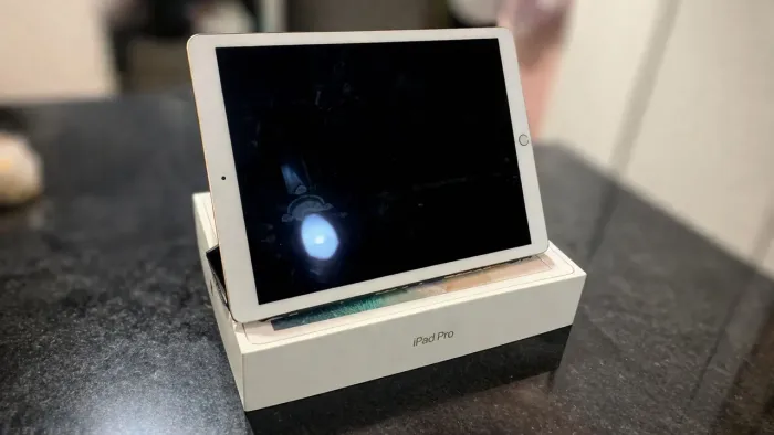 iPad Pro 12,9" 2ª geração 