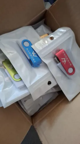 Coletânea de sucessos PENDRIVE W BARBOSA