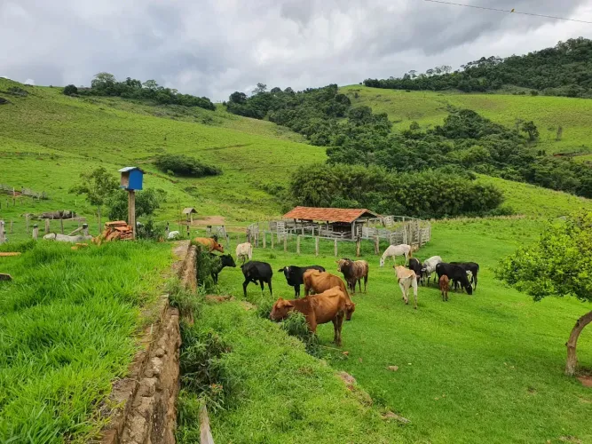 Munhoz/MG Fazenda com 60 Alqueires, divisa com Socorro/SP