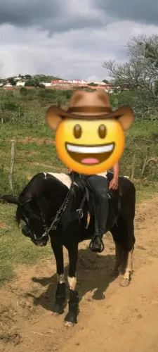 Egua Mangalarga