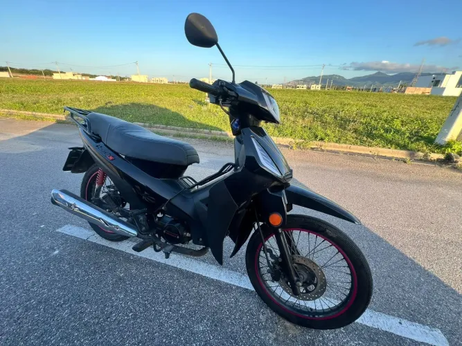 SHINERAY 50Q - 2024