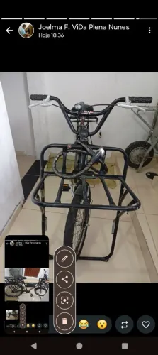 Bicicleta de Carga.