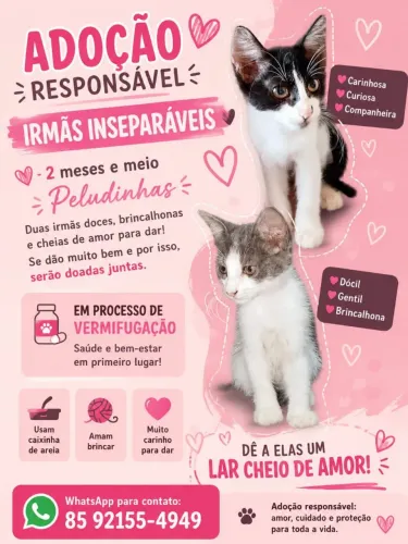 Doação de duas bebês