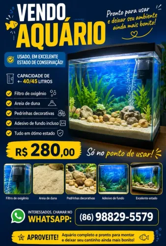 Aquário 