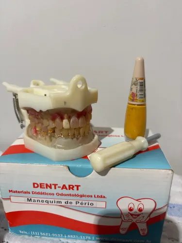 Manequim odontológico de periodontia dent-art