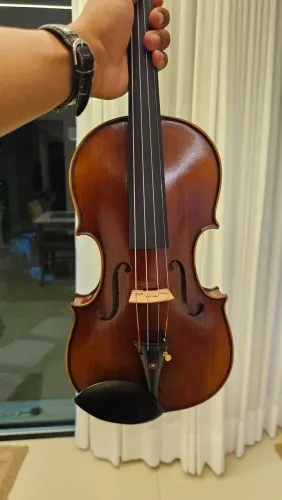Violino profissional
