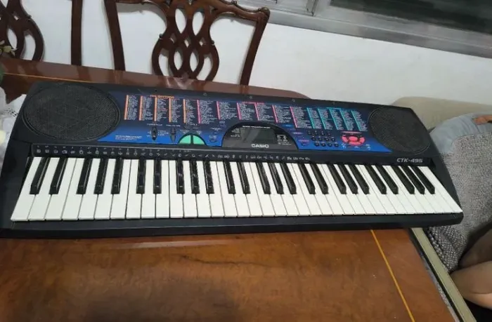 Teclado Casio CTK-495
