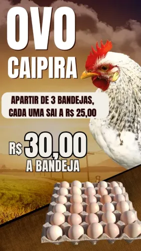 OVOS CAIPIRAS DIRETO DA FAZENDA